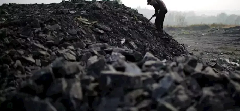 232723692332235103706 232723692332235103706 E1942D9A00DB20999E5E73A1480A9A3F