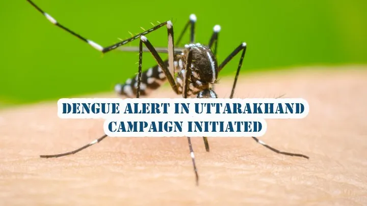 Dengue Alert in Uttarakhand Campaign initiated