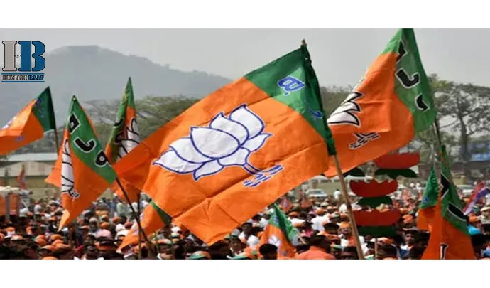 History and development of BJP