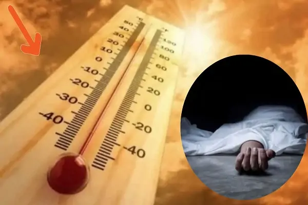 A Compensation Of Four Lakhs Will Be Given On Death Due To Heatstroke