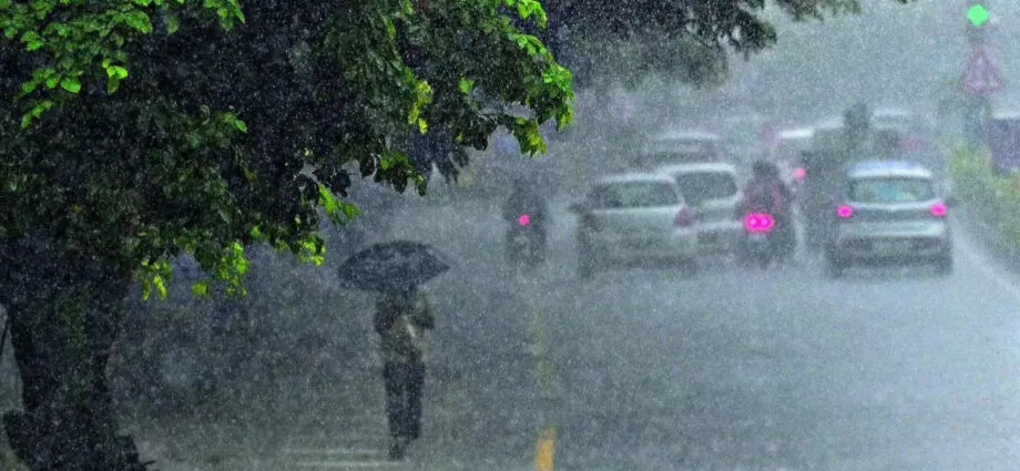 Chennai Weather Update Heavy Rains Predicted In Tamil Nadu Imd Issues Warning