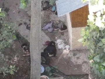 K 2024 07 06t205818446 1720280586