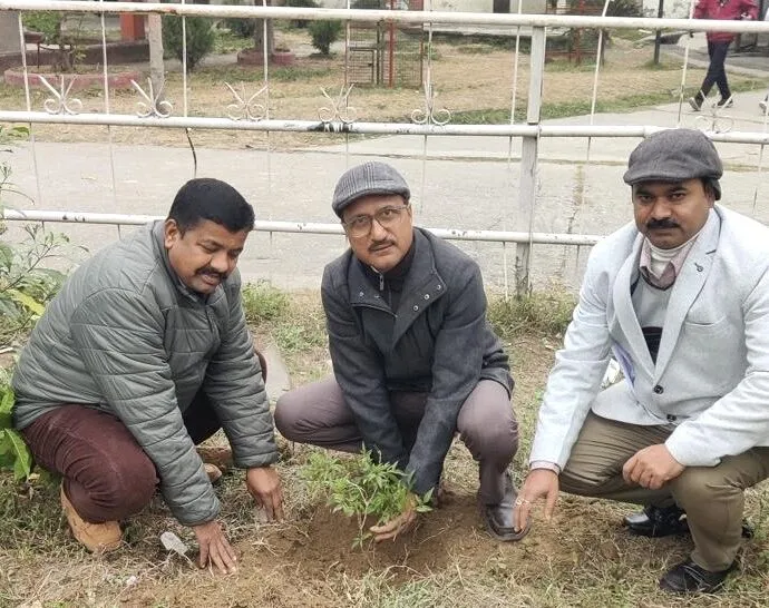 Bd332055 A284 4186 93f6 A78044c16e25