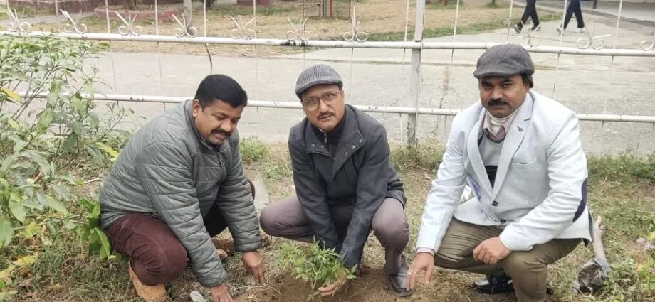 Bd332055 A284 4186 93f6 A78044c16e25