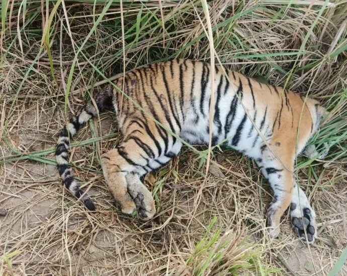 F3dc8f81 7198 4865 B333 E5a91fd04db5