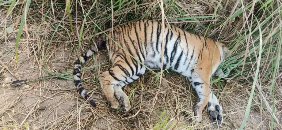 F3dc8f81 7198 4865 B333 E5a91fd04db5