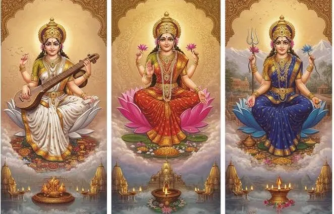 3bc65370 8a43 4bd8 80a5 D740d5f65f57